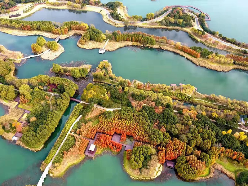 华体会(中国)hth·官方网站-科技股份有限公司